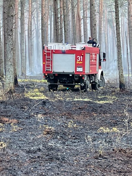 Feuerwehrfahrzeug im Einsatz